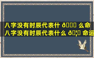 八字没有时辰代表什 🐒 么命（八字没有时辰代表什么 🦍 命运呢）